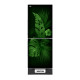 Walton WFB-2X1-GDXX-XX Refrigerator
